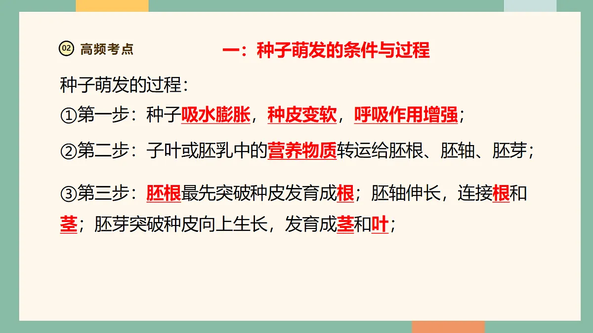 18216037第5页
