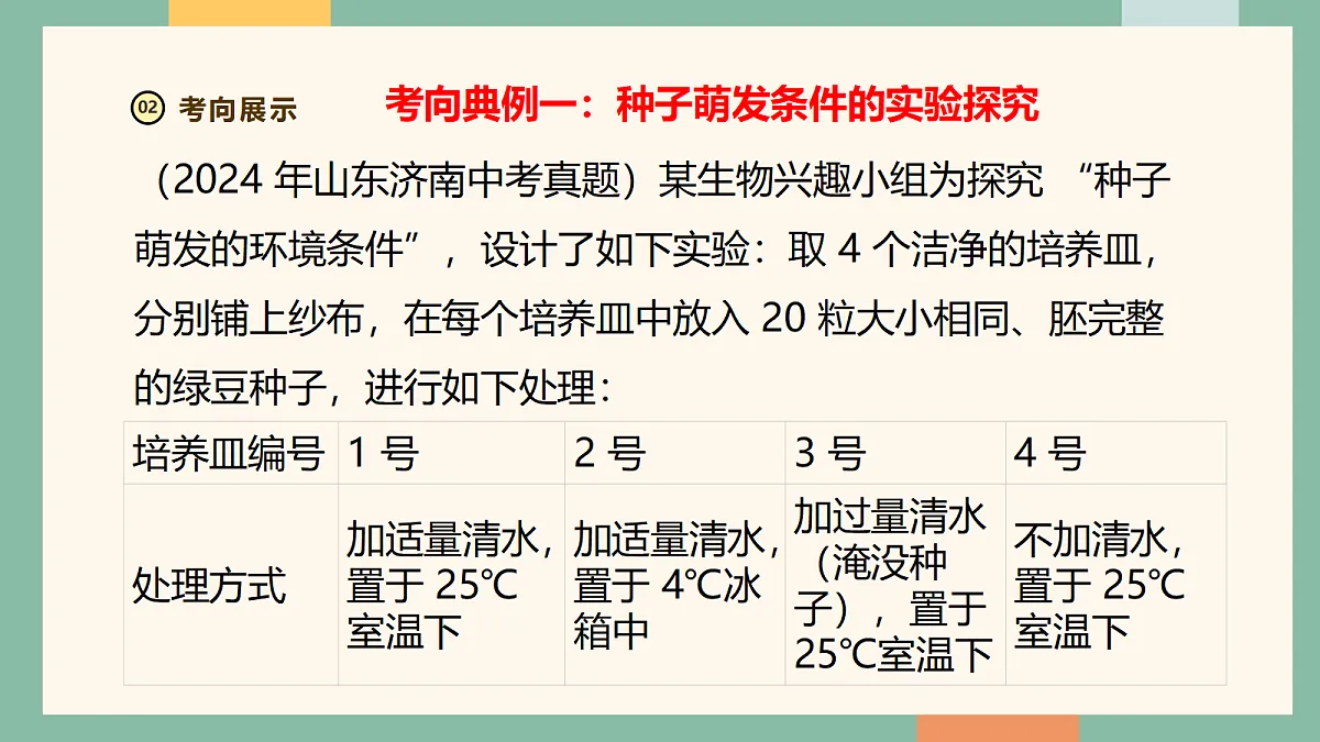 18216037第6页