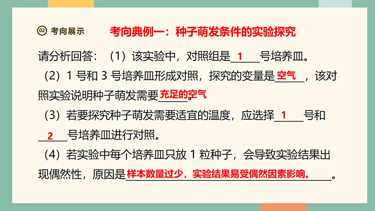 18216037第7页