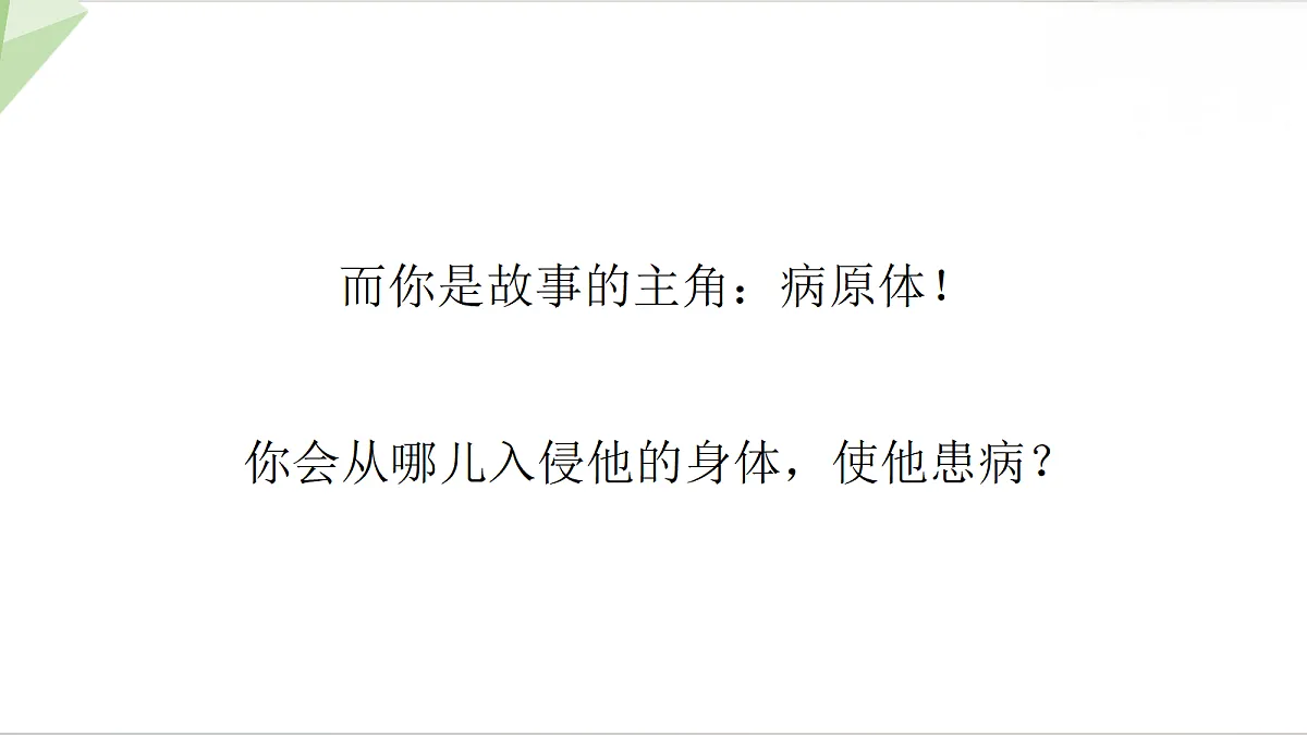 18216038第4页