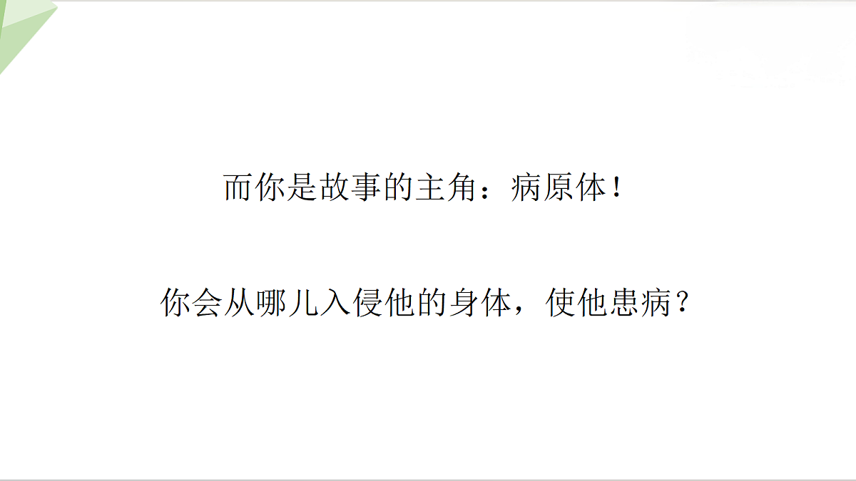 18216038第4页