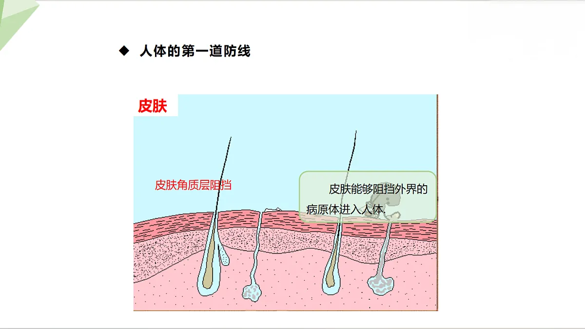 18216038第6页