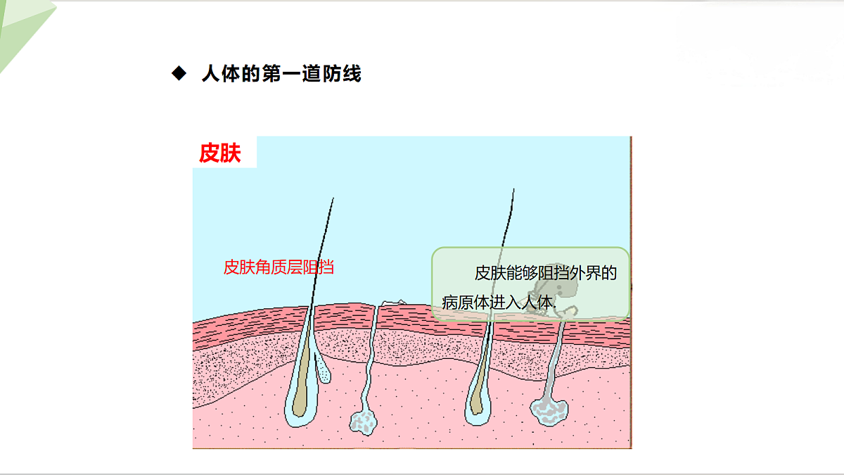 18216038第6页