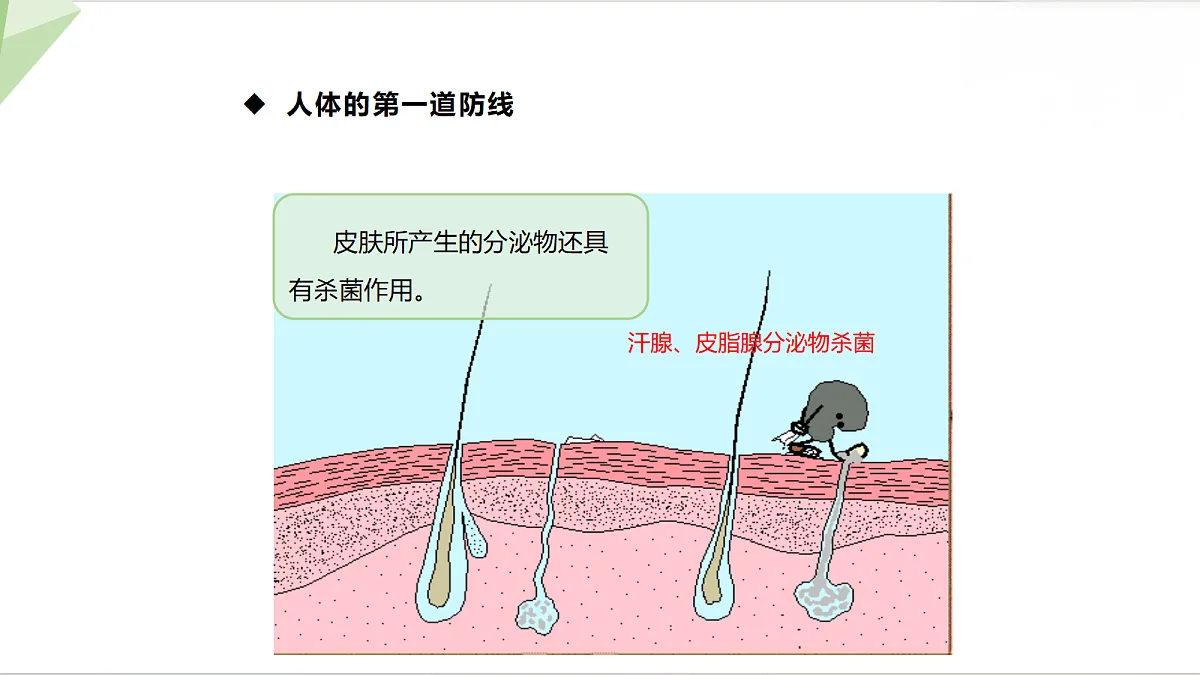 18216038第8页