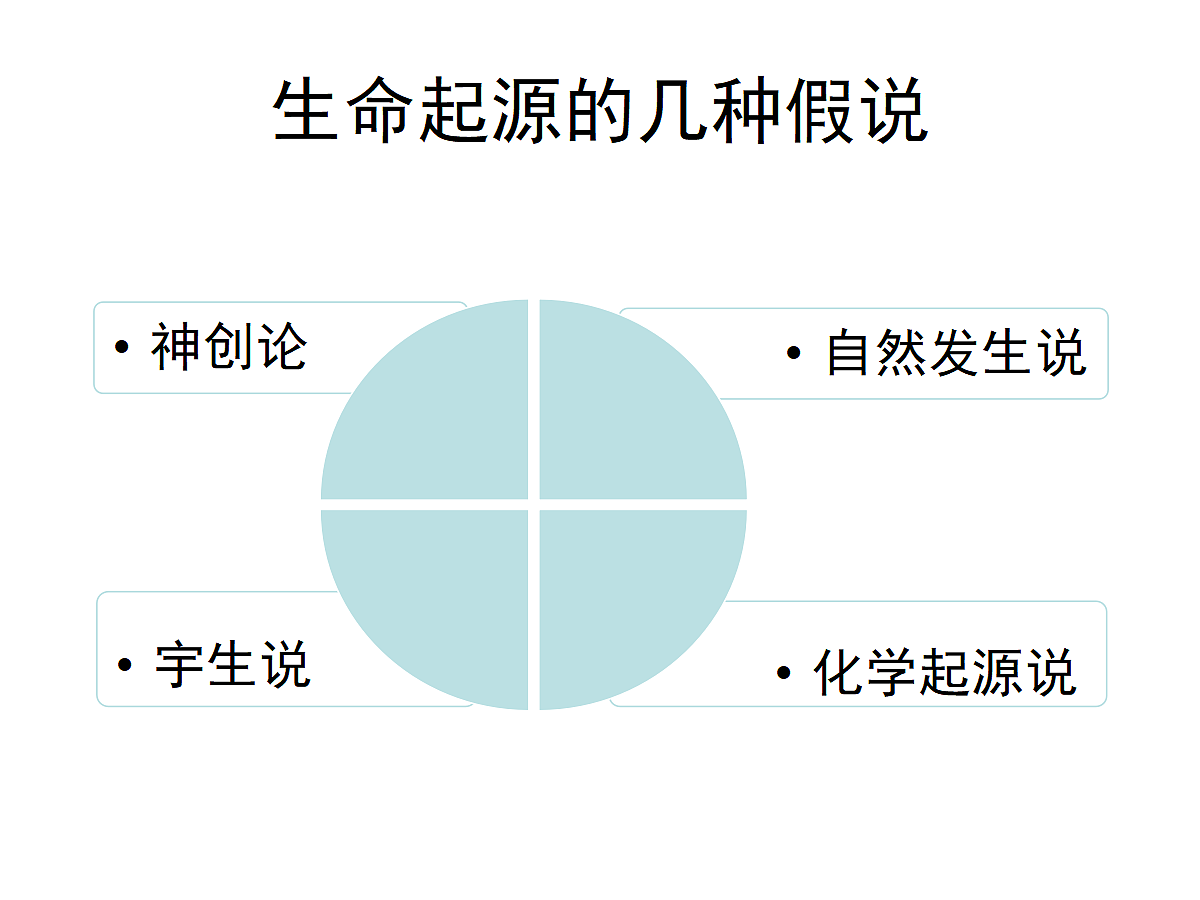 18216040第4页