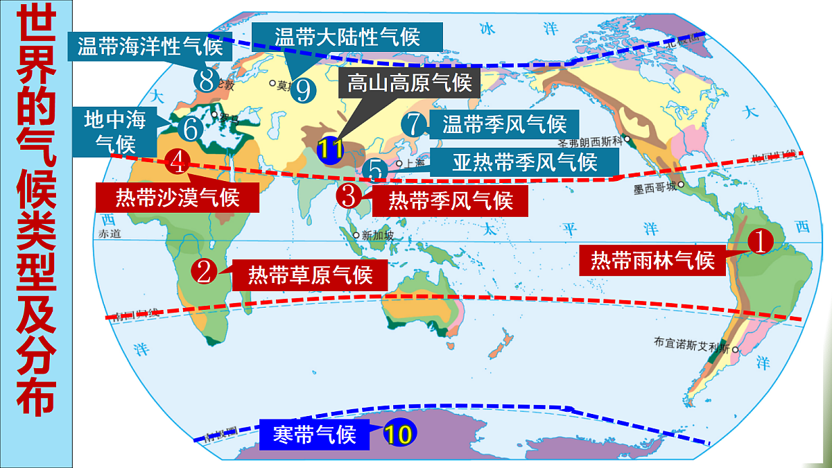 18216048第3页
