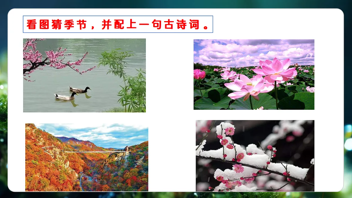 18216246第2页