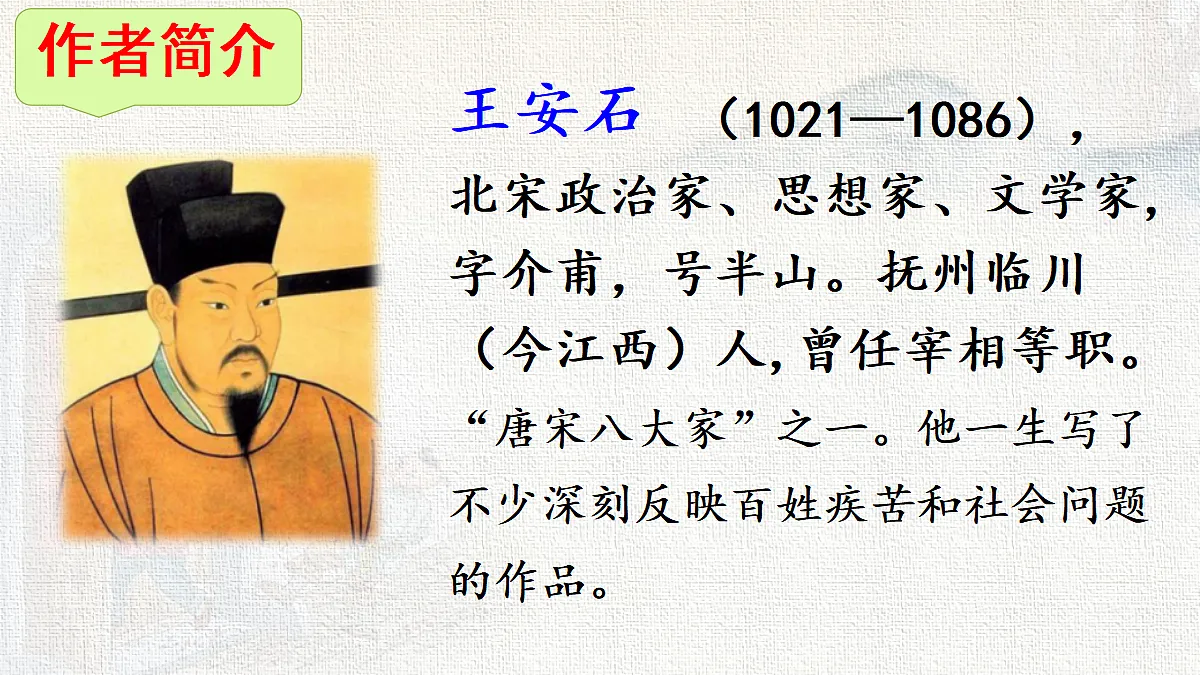 18216781第3页