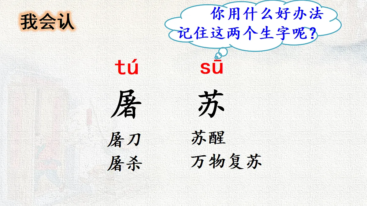 18216781第5页