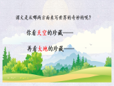 统编版小学语文三年级下册课件《24 我们奇妙的世界》