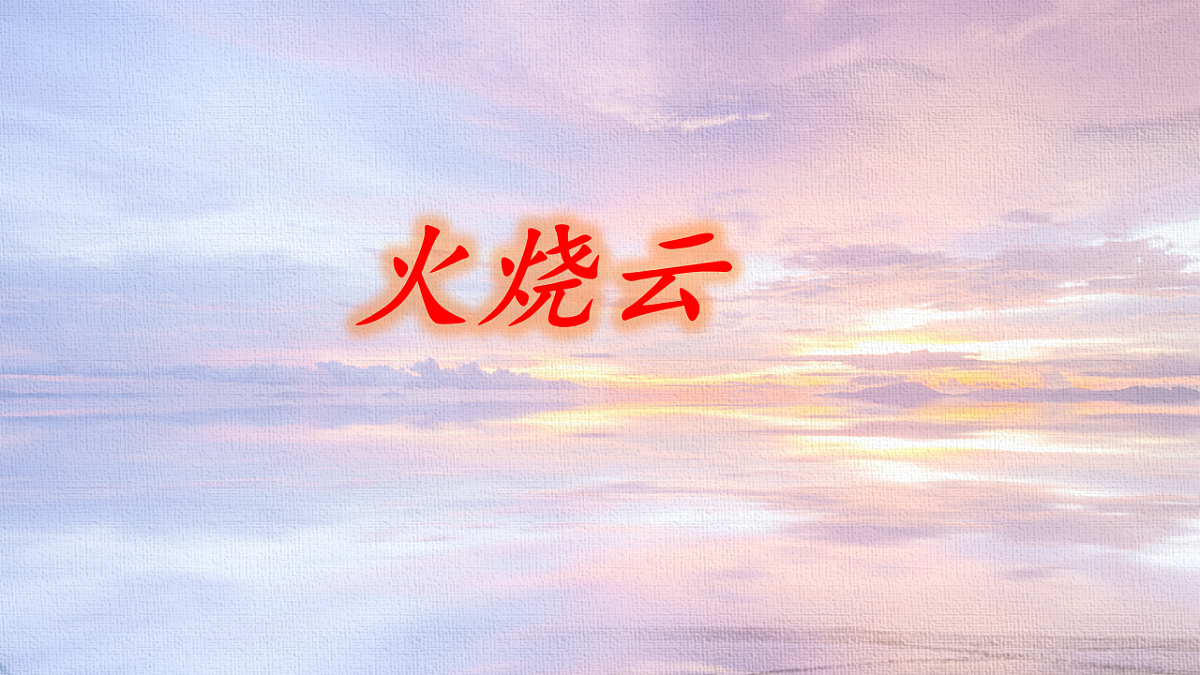 18216786第1页