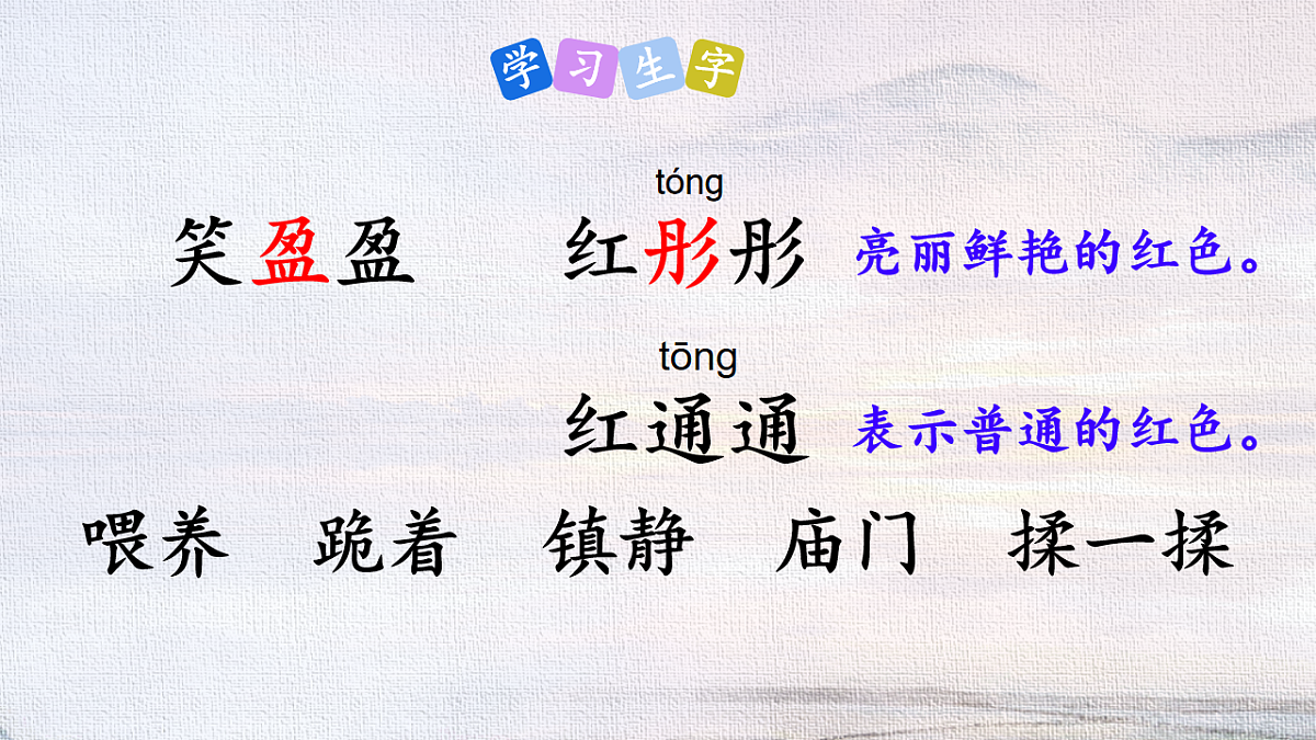 18216786第5页