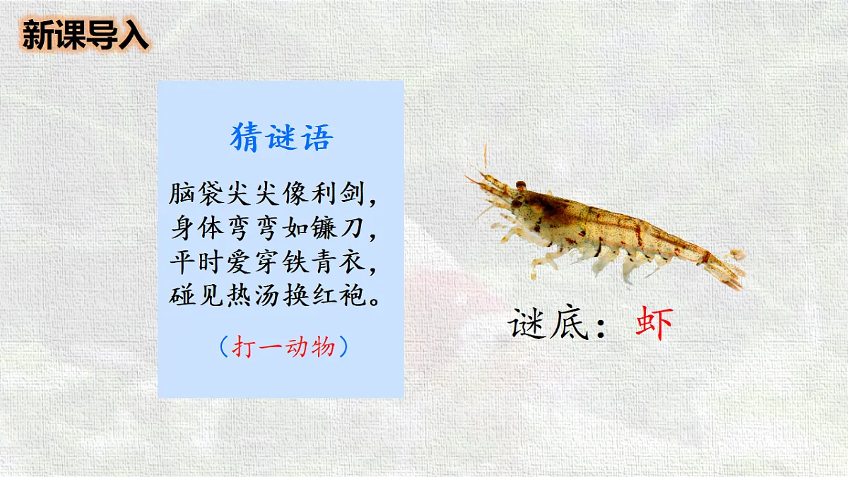 18216787第2页