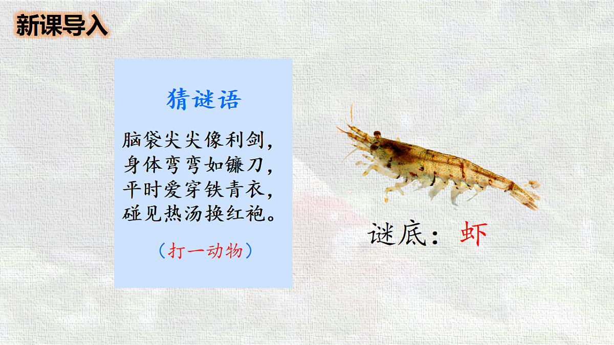18216787第2页