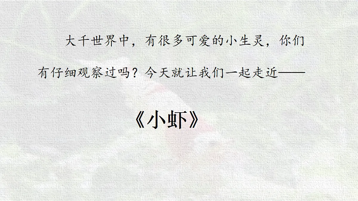 18216787第3页