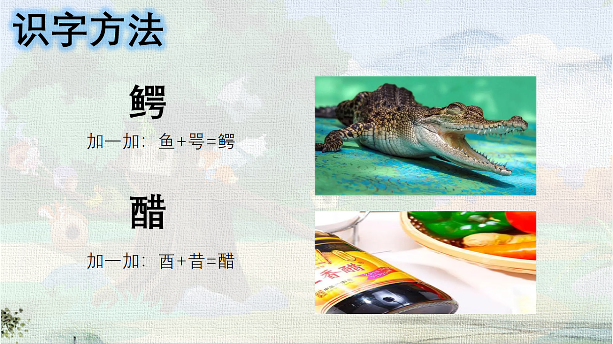 18216791第6页