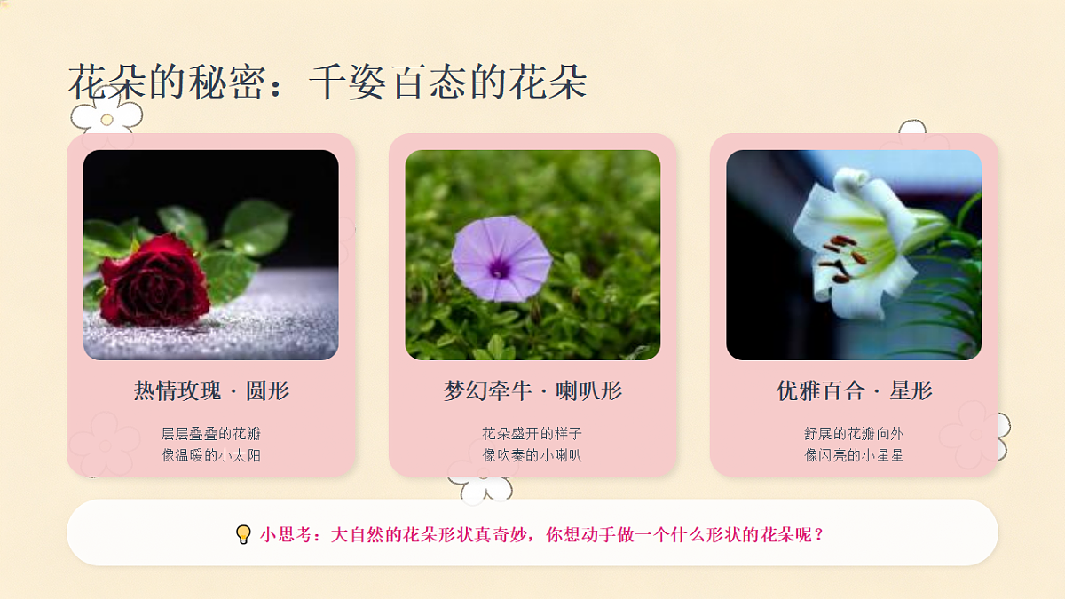18216967第6页
