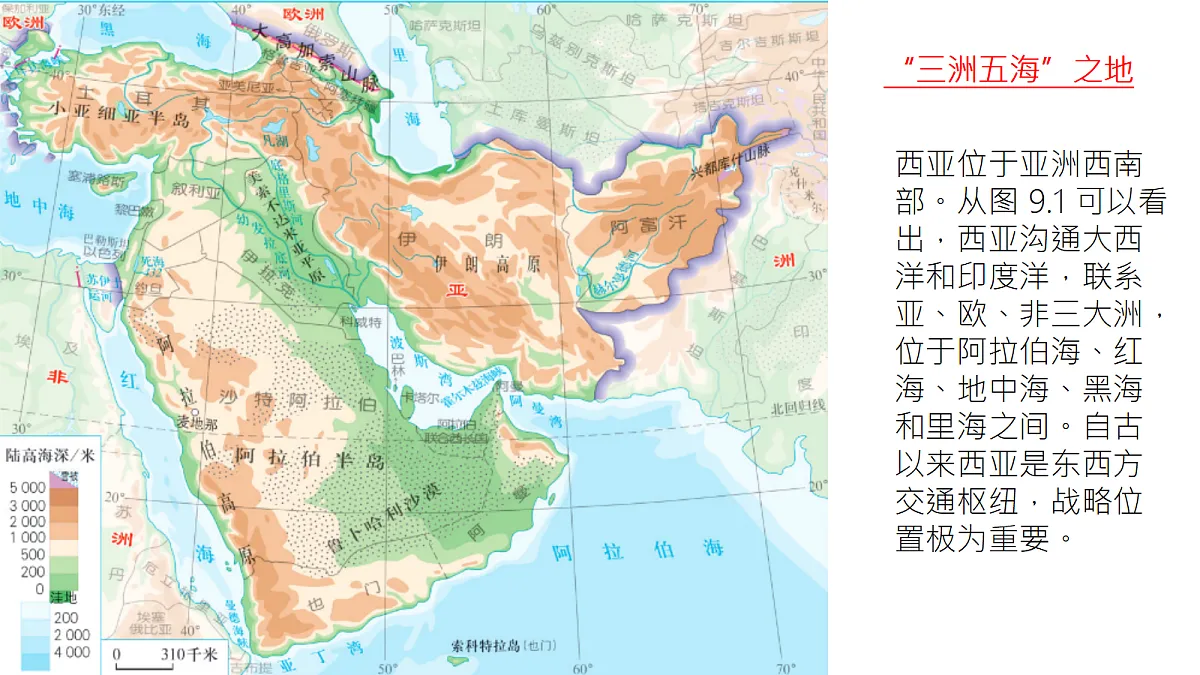 18217150第2页