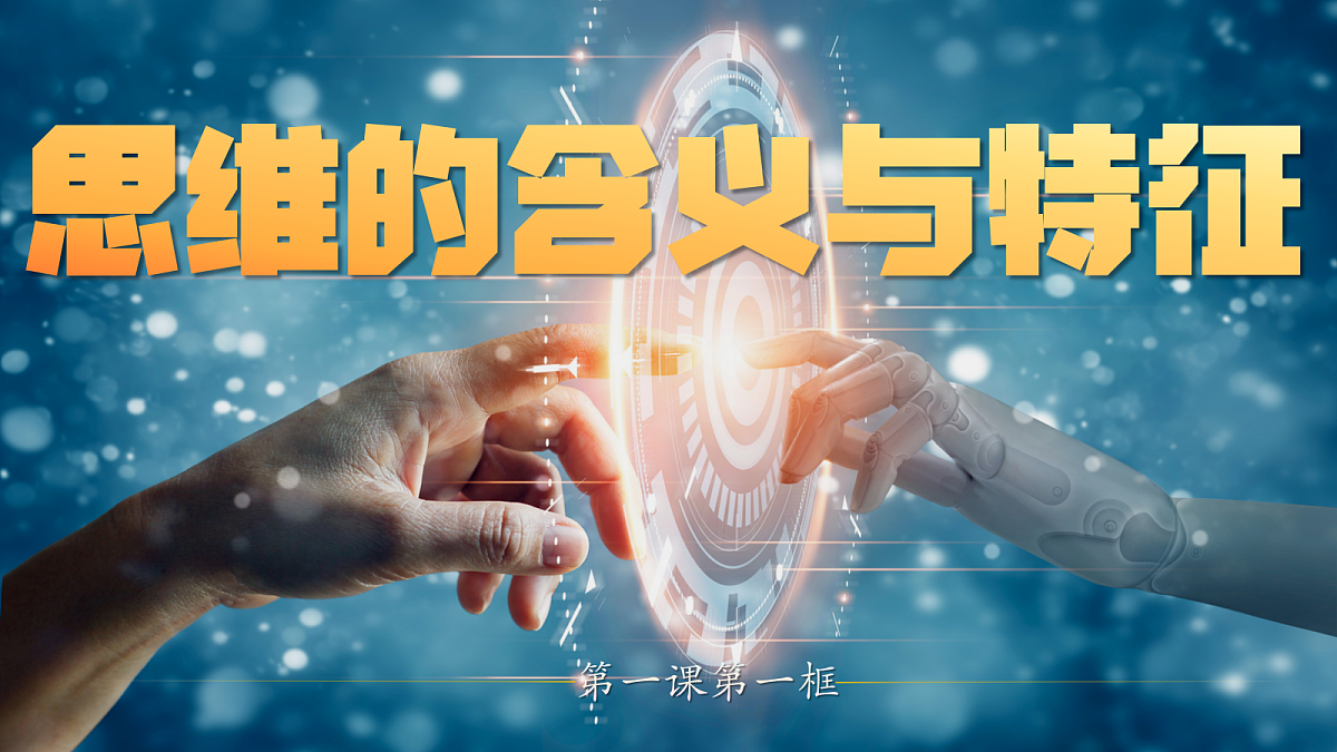 18217503第3页