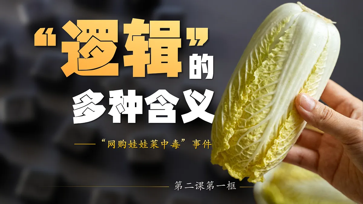 18217506第3页