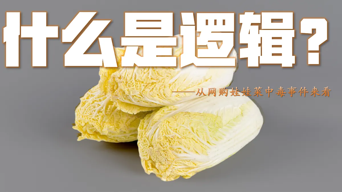 18217506第5页