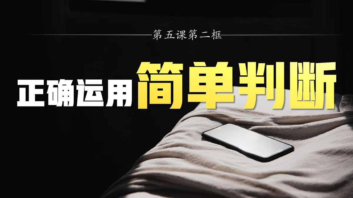 18217521第3页