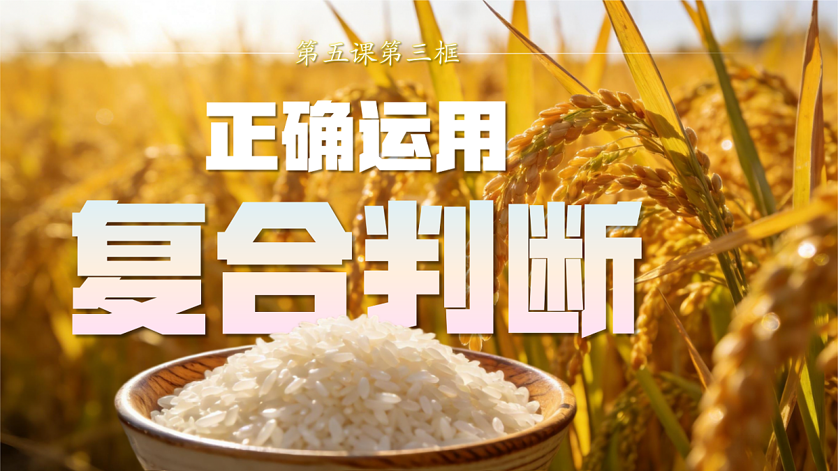 18217524第3页