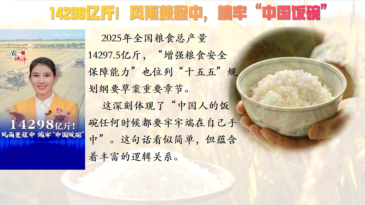 18217524第4页
