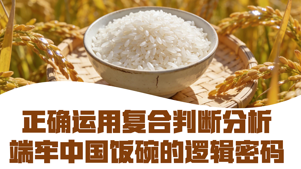 18217524第5页