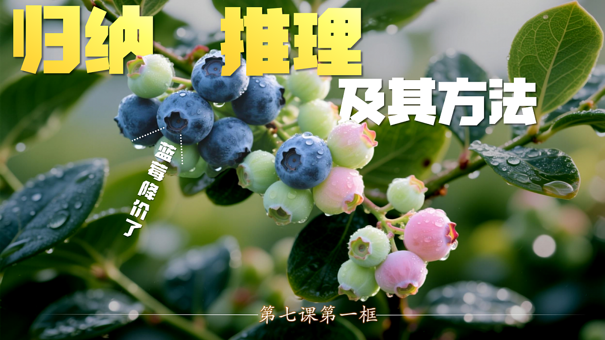 18217543第3页