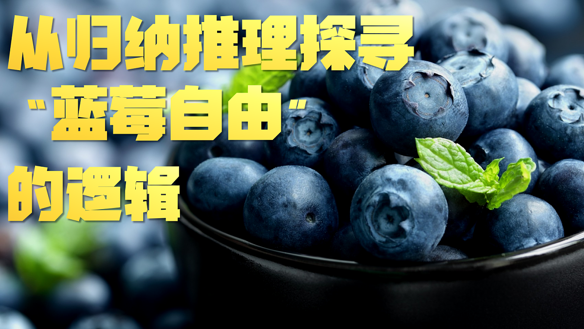 18217543第5页
