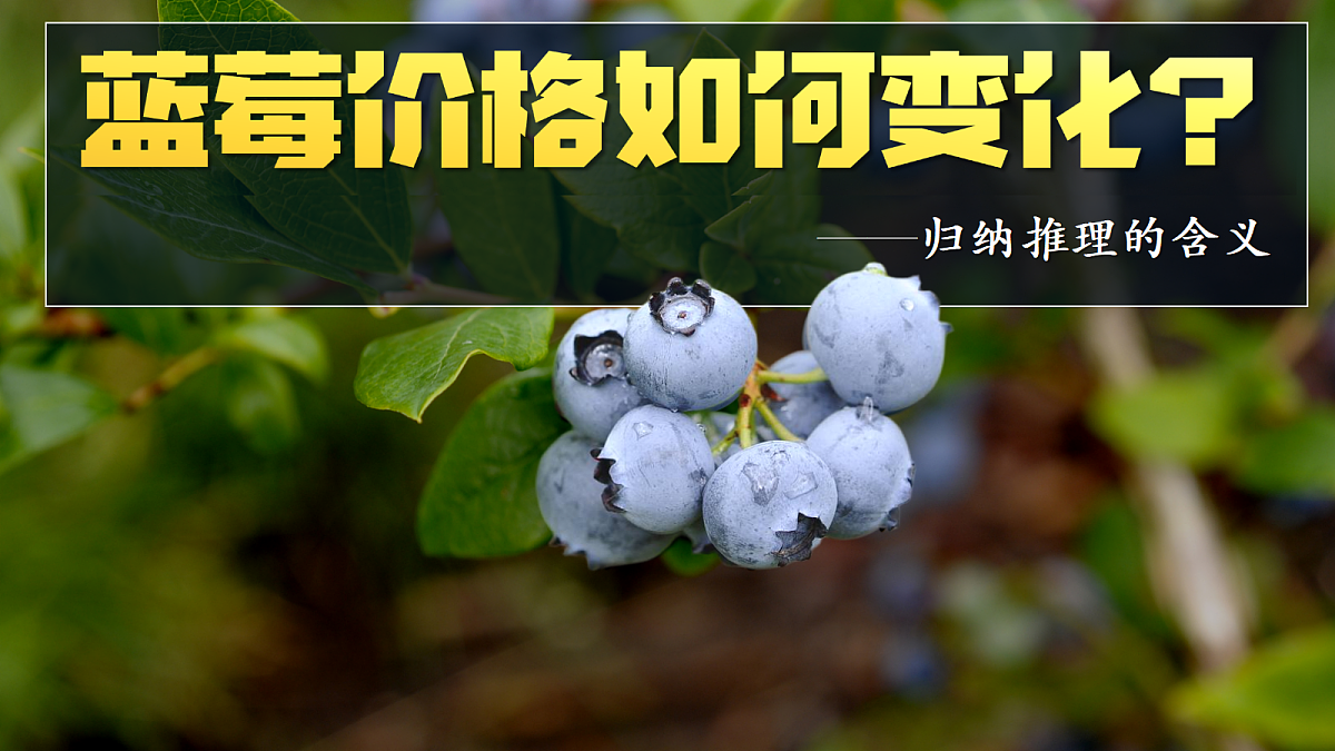 18217543第6页