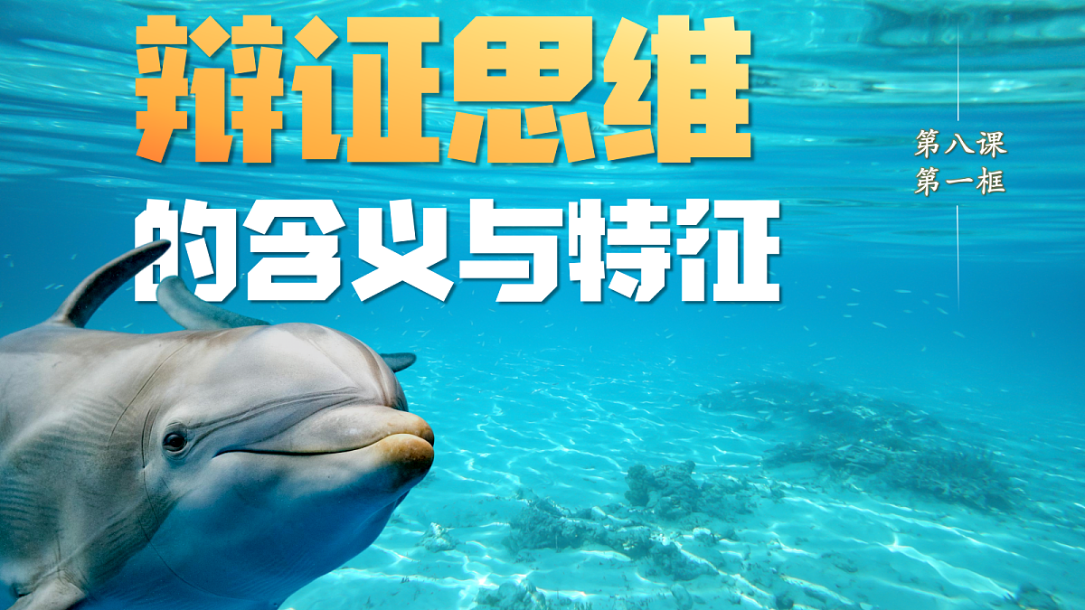 18217549第4页