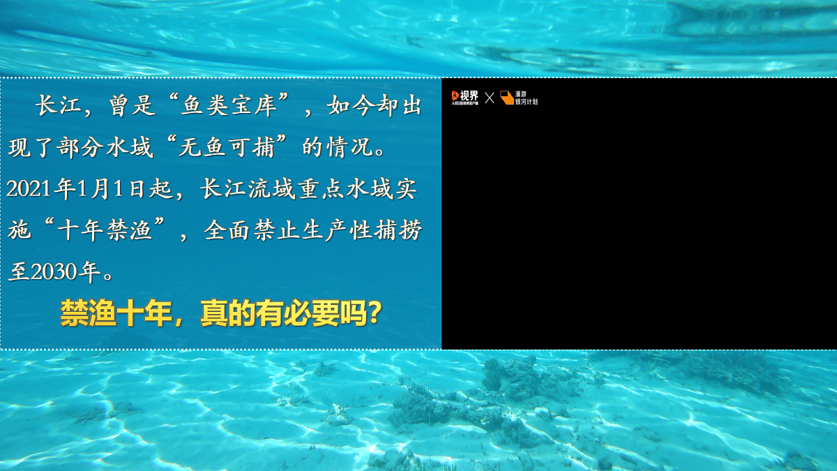 18217549第5页
