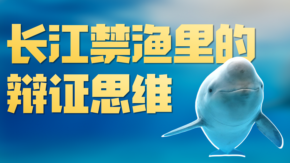 18217549第6页