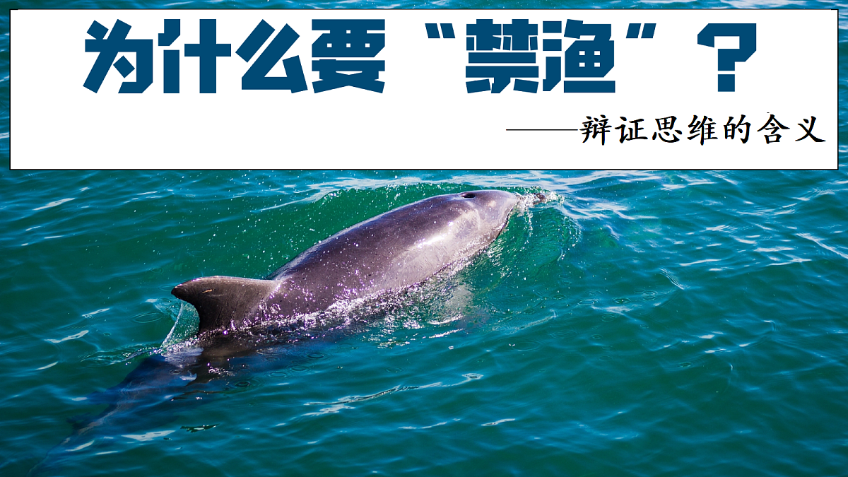 18217549第7页