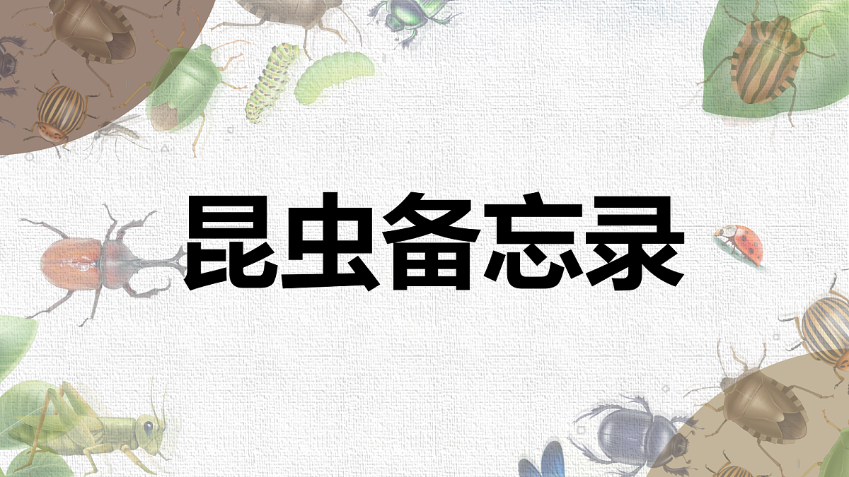 18217674第1页