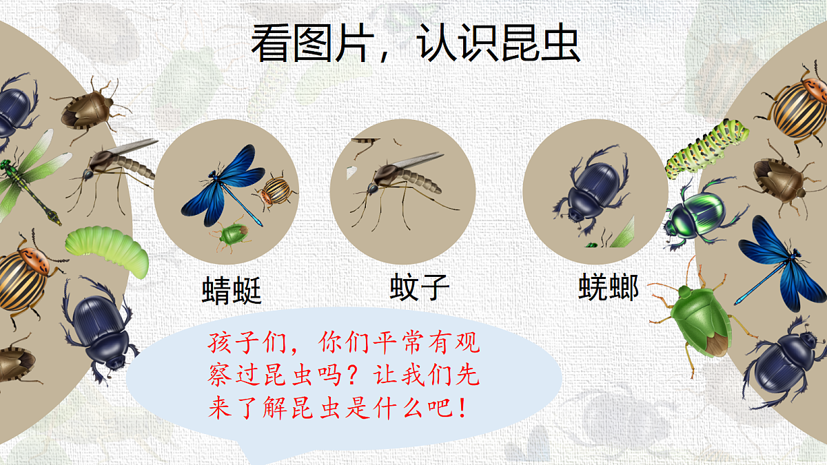 18217674第2页
