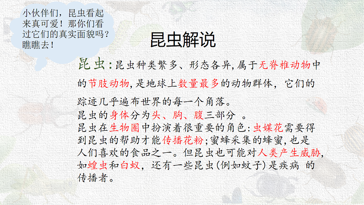 18217674第3页