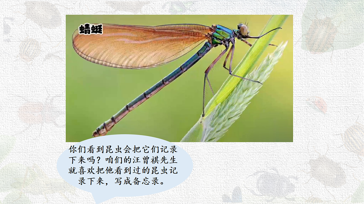 18217674第4页