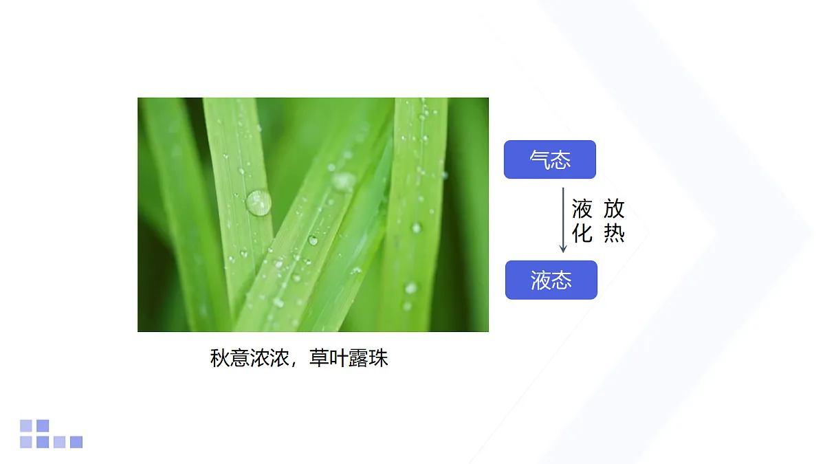 18218090第5页