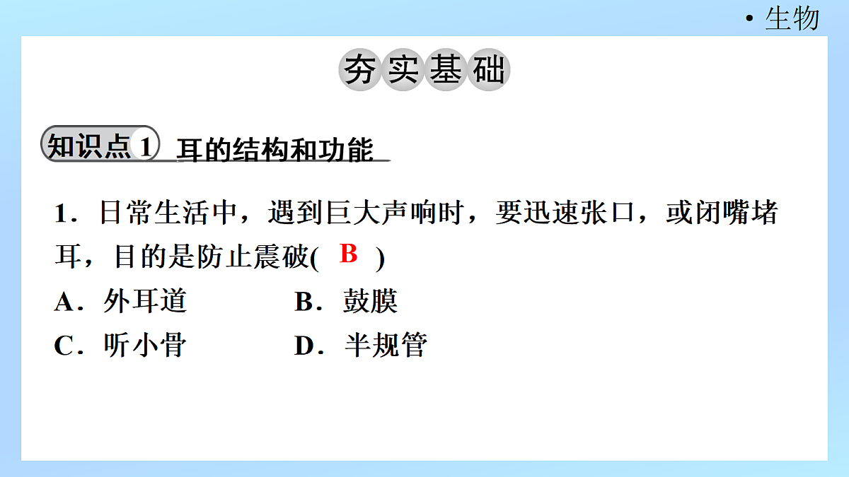 18218896第3页