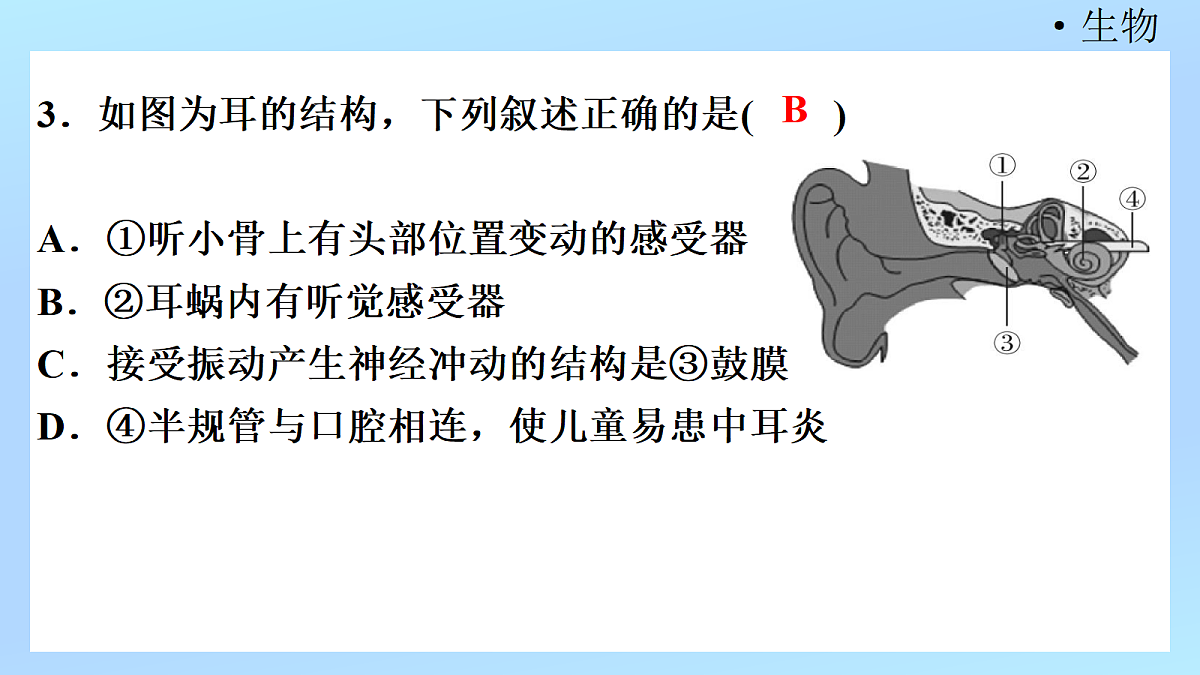 18218896第5页