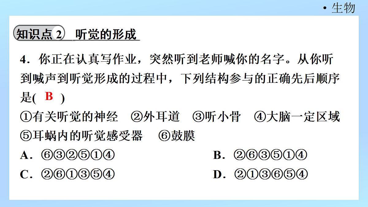 18218896第6页