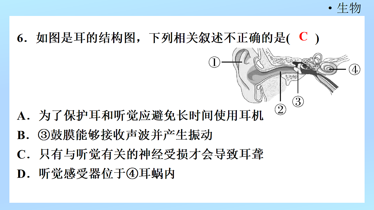 18218896第8页