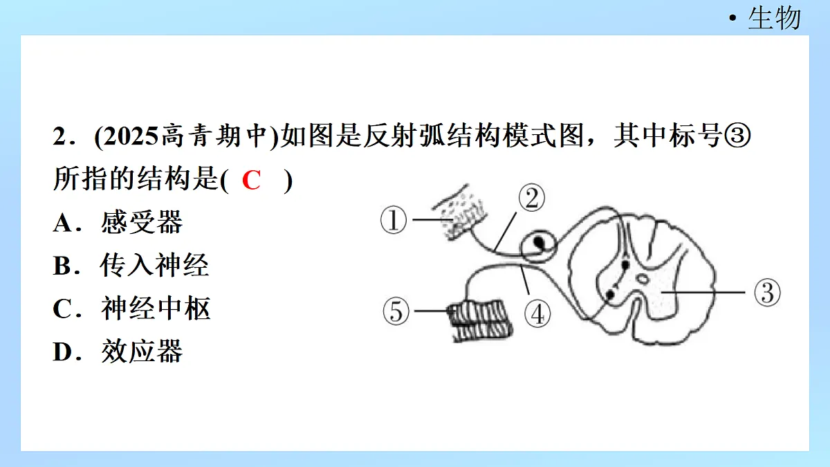 18218898第4页