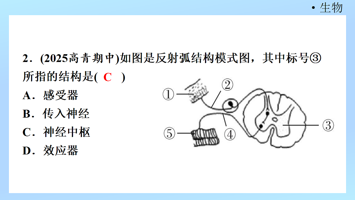 18218898第4页