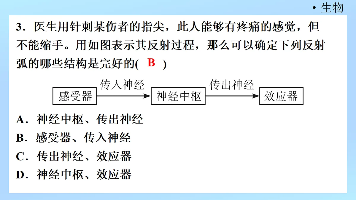 18218898第5页