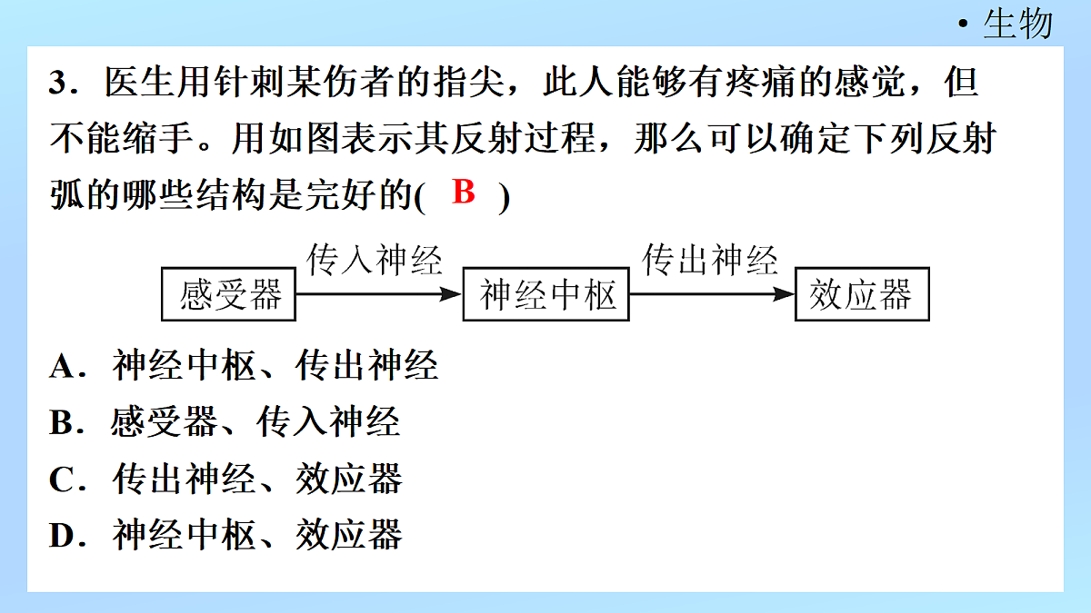 18218898第5页