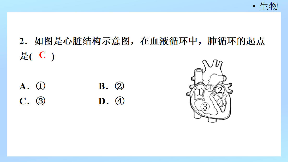 18218903第4页